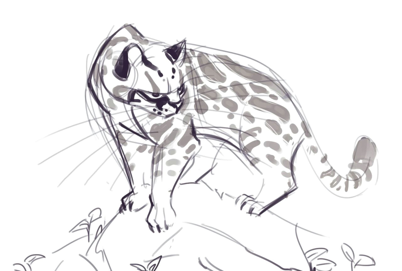 Jaguar Drawing Ideas 219 Ocelot Sketch Tutorials Inspiration Animals