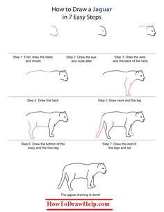 Jaguar Drawing Ideas 967 Best How to Draw Tutorials Images Doodle Drawings Easy