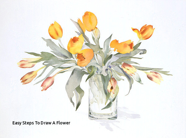 Jar Of Flowers Drawing Easy Steps to Draw A Flower Vase Art Drawings How to Draw A Vase