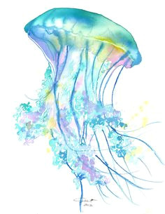 Jellyfish Drawing Easy 86 Best Art Images Easy Watercolor Painting Abstract Painting