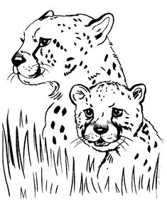 Jungle Drawing Ideas 372 Best Jungle Ideas Images Jungles Animal Stencil Crafts for Kids