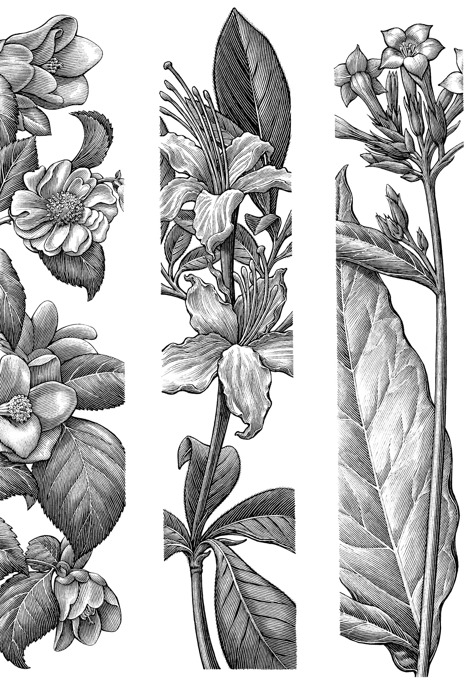 Leaves Drawing Tumblr Pin by Amarie M On Art In 2019 Botanical Gardens Drawings