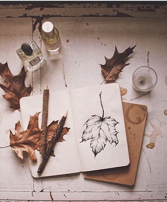 Leaves Drawing Tumblr Tumblr Leaves Artd Art Autumn Leaves Cute Autumn Tumblr