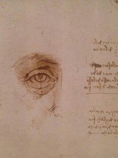 Leonardo Da Vinci Drawings Of Hands 339 Best Leonardo Davinci Images Drawing S Da Vinci Sketches