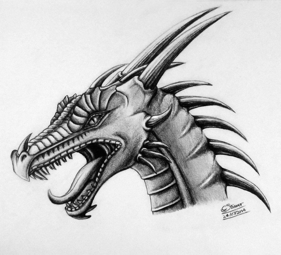 Lethalchris Drawing Dragons Dragon Head Drawing by Lethalchris Deviantart Com On Deviantart