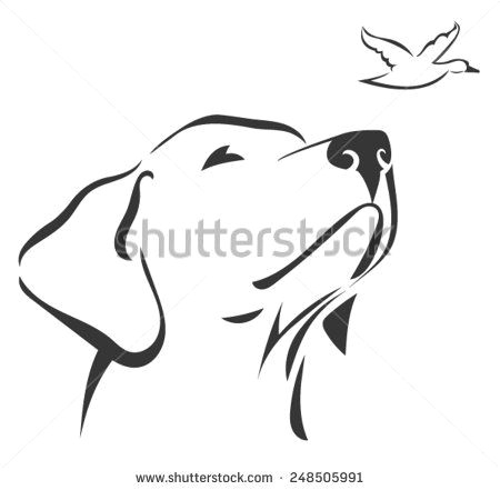 Line Drawing Dog Head Labrador Head 3 Stock Vector Dogs Labrador Drawings Art