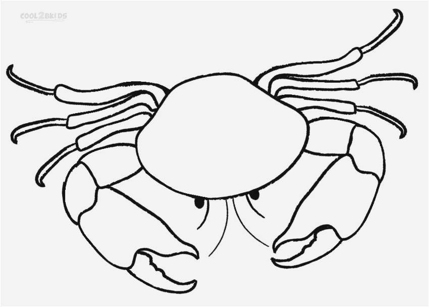 Line Drawing Dogs 12 Elegant Crab Coloring Pages Coloring Page