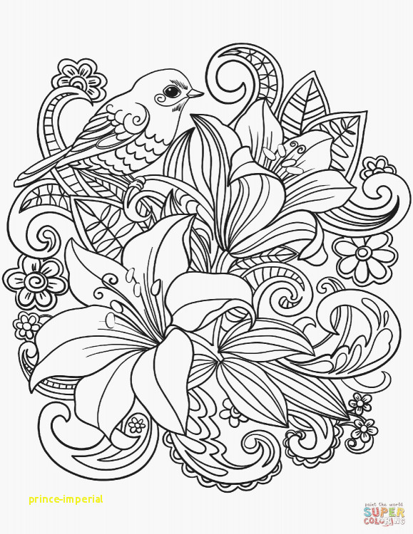 Line Drawing Flowers In Vase 49 Contemporary Flowers Pictures Free Decor