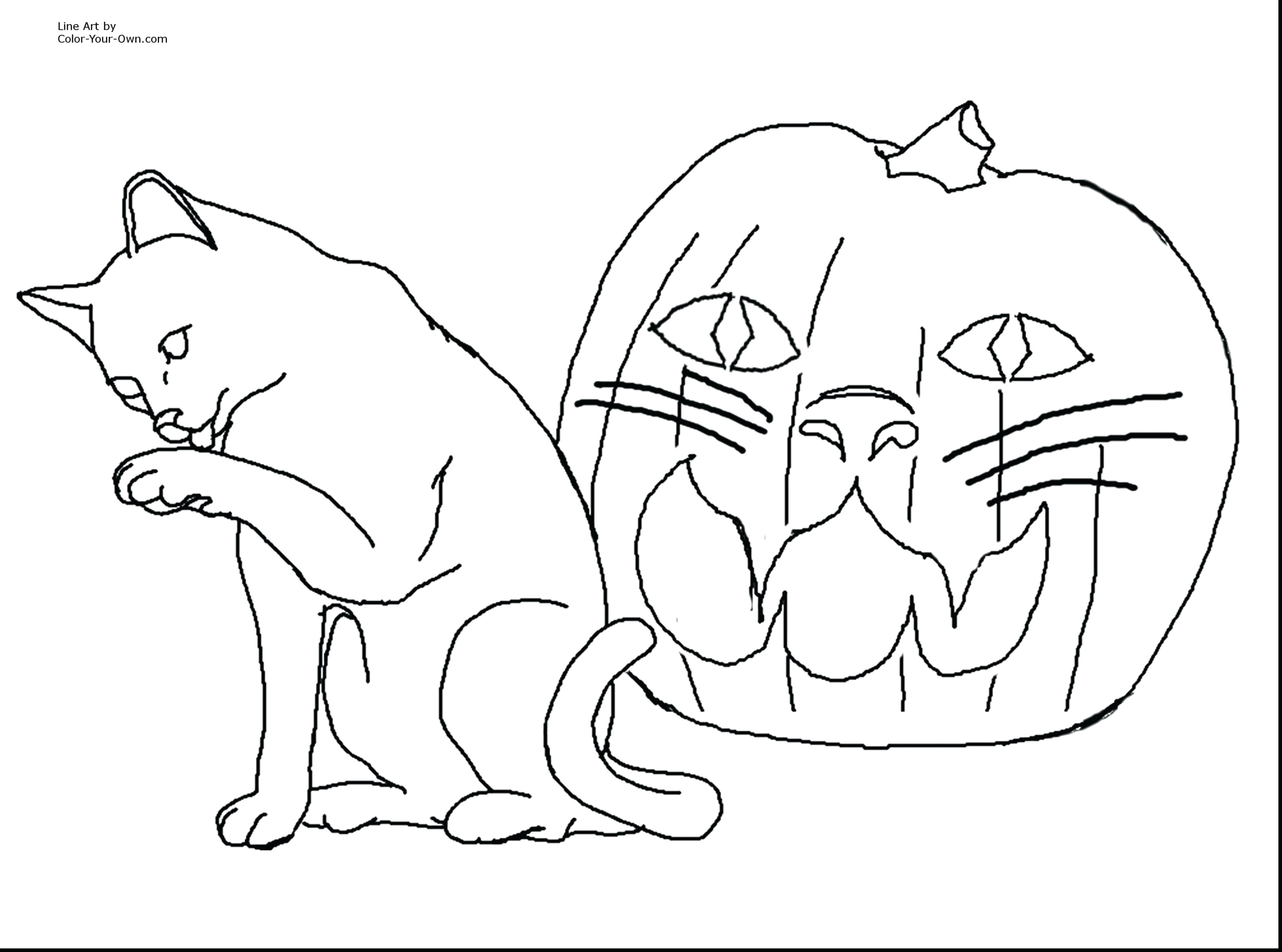 Line Drawing Of A Cat Coloring Pages Of Animals Preschool Color Pages Animals Luxury