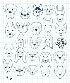 Line Drawing Of A Dog S Face 126 Best Dachshund Drawing Images In 2019 Dachshund Drawing