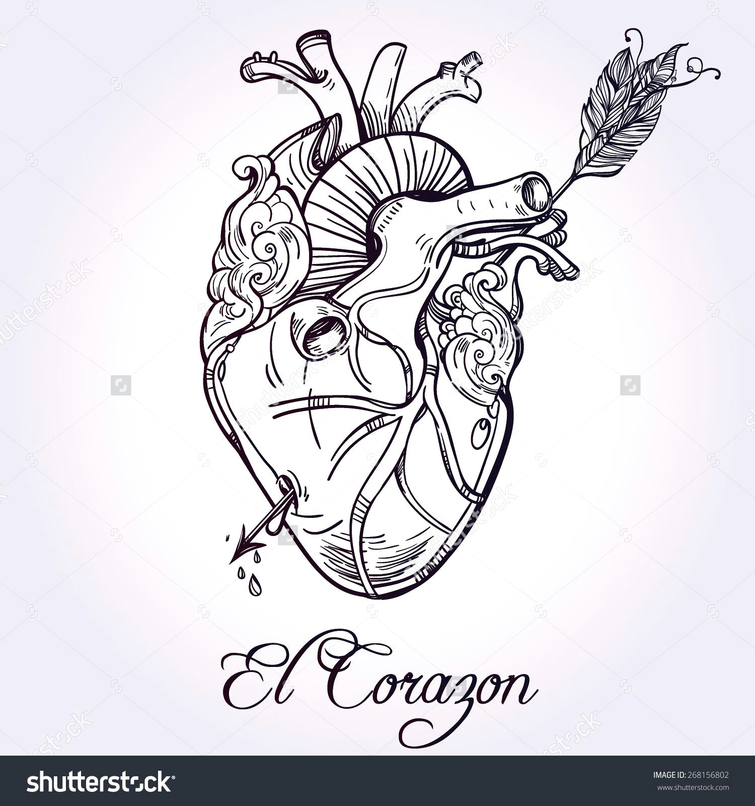 Line Drawing Of A Human Heart Sketched Hand Drawn Line Art Beautiful Human Heart with Arrow El