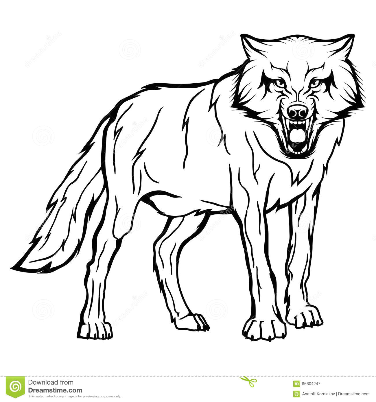 Line Drawing Of A Wolf Head Vector Sketch Of A Wolf Stock Vector Illustration Of Face 96604247