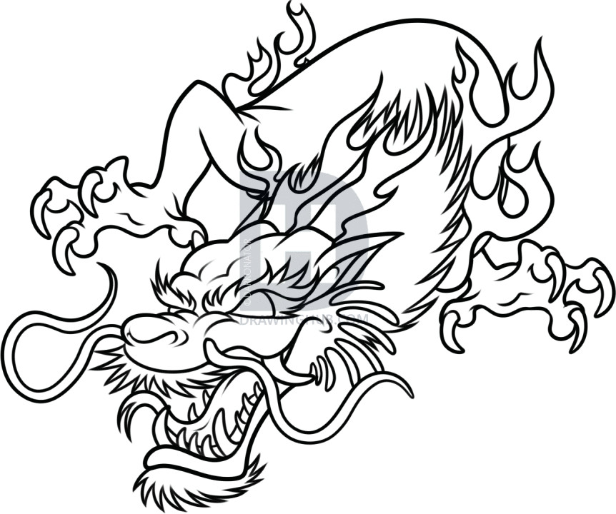 Line Drawing Of Dragons 18 Best Simple Drawing Of Dragon Tattoo Images Easy Drawings