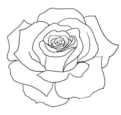 Line Drawing Of Flowers Roses Flower Outline Tattoos Rose Outline Tattoo Stencil Line Art