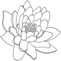 Line Drawing Of Lotus Flower 34 Best Lotus Flower Tattoo Outline Images Lotus Tattoo Lotus