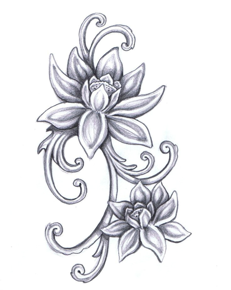Line Drawing Of Lotus Flower Flower Sketch Dr Odd Drawings Pinterest Tattoos Flower