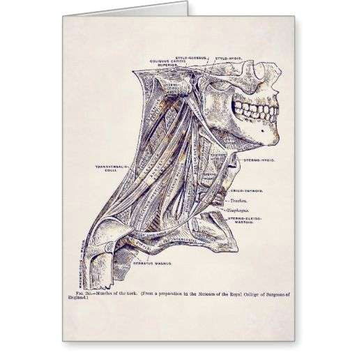 Line Drawing Things 26 ordinary What to Draw for Beginners Helpsite Us