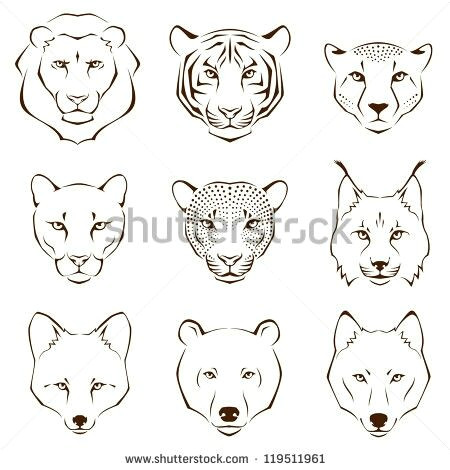 Line Drawing Wolf Face Pin by Yash toor On Galleries Pinterest Tattoos Drawings and