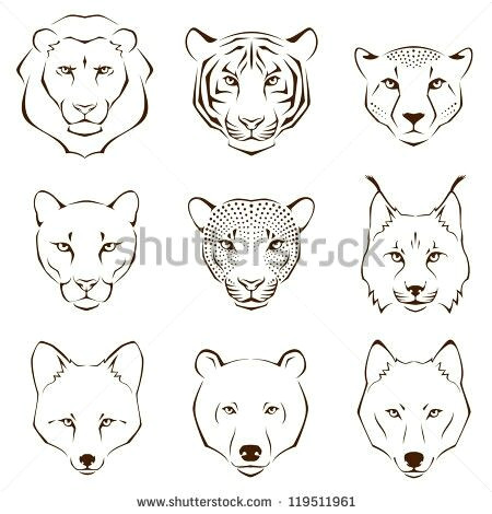 Line Drawing Wolf Face Pin by Yash toor On Galleries Pinterest Tattoos Drawings and