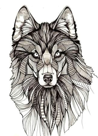 Line Drawing Wolf Head Resultado De Imagem Para Geometrics Draw Color Drawings Drawings