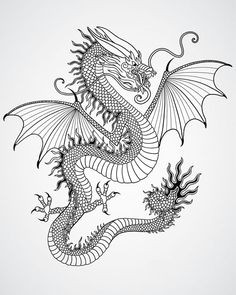 Line Drawings Of Chinese Dragons 206 Best Dragon Images Chinese Art Chinese Dragon Chinese Dragon