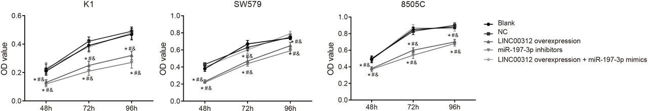 M Drawing A Blank Means Overexpression Of Long Intergenic Noncoding Rna Linc00312 Inhibits