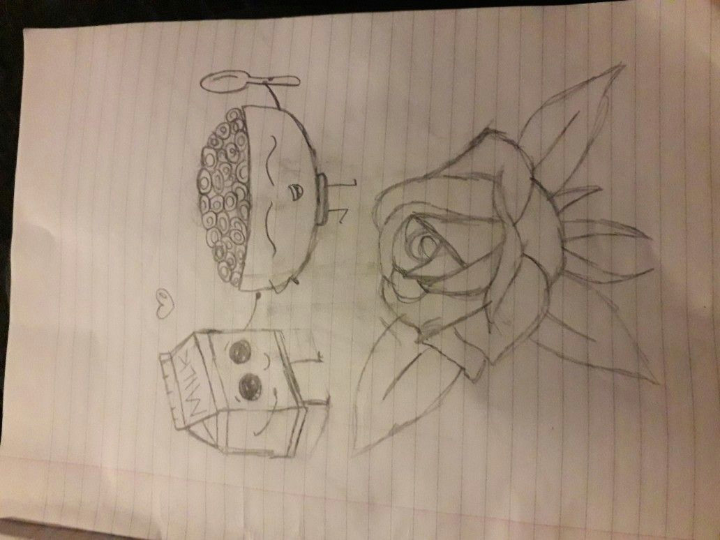 Nice N Easy Drawings Milk Cereal and A Rose without Shading Nice and Easy for Beginners