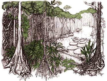 Non Living Things Drawing the Effects Of Global Warming On the Ecosystem