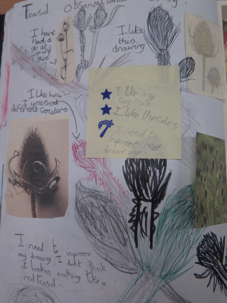 Observational Drawing Of Flowers Ks1 the Use Of Sketchbooks at Gomersal Primary School