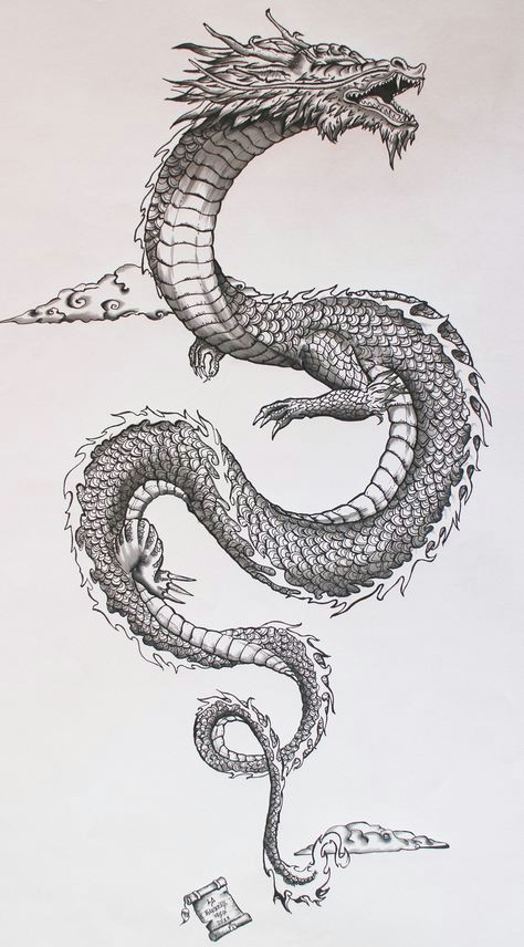 Old Drawings Of Dragons 1136 Best Dragons Tattoo Images In 2019 Dragon Tattoo Designs