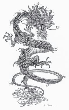 Old Drawings Of Dragons 1136 Best Dragons Tattoo Images In 2019 Dragon Tattoo Designs