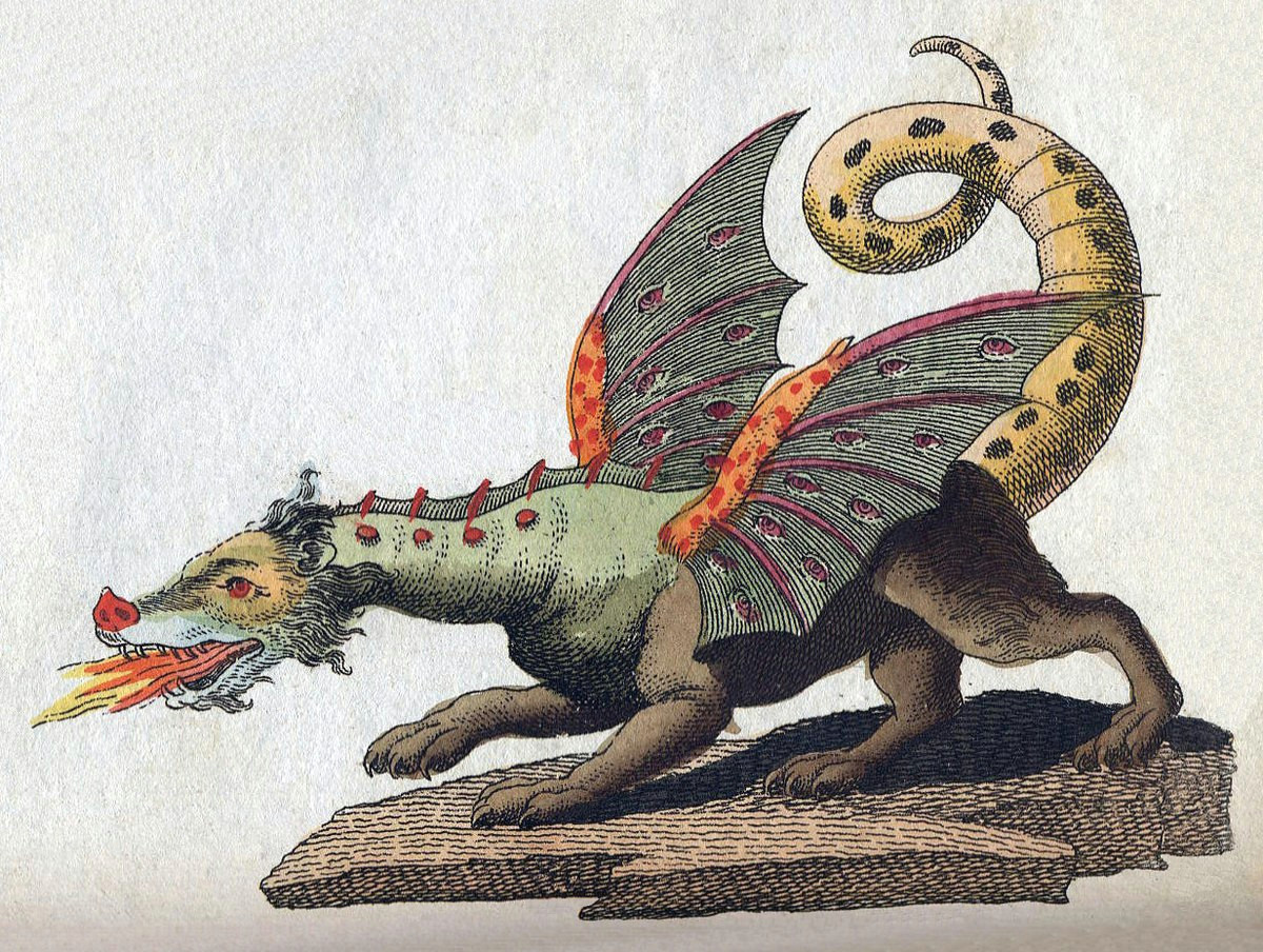 Old Drawings Of Dragons European Dragon Wikipedia