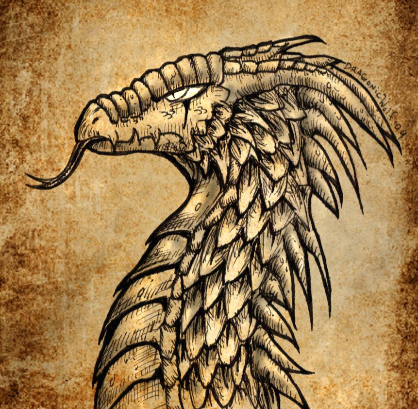 Oldest Drawings Of Dragons Ancient Dragon by Dragonicwolf On Deviantart Dragons Portraits