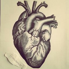 Pen Drawing Of A Heart Related Image Designing My Tattoo In 2019 Art Drawings Tattoos