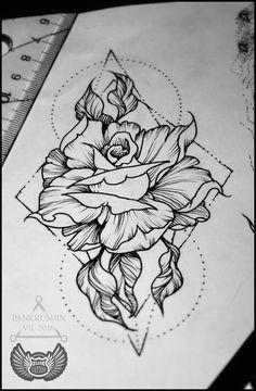 Pen Drawing Of A Rose 218 Best Pen Art Images Draw Ideas for Drawing Pointillism