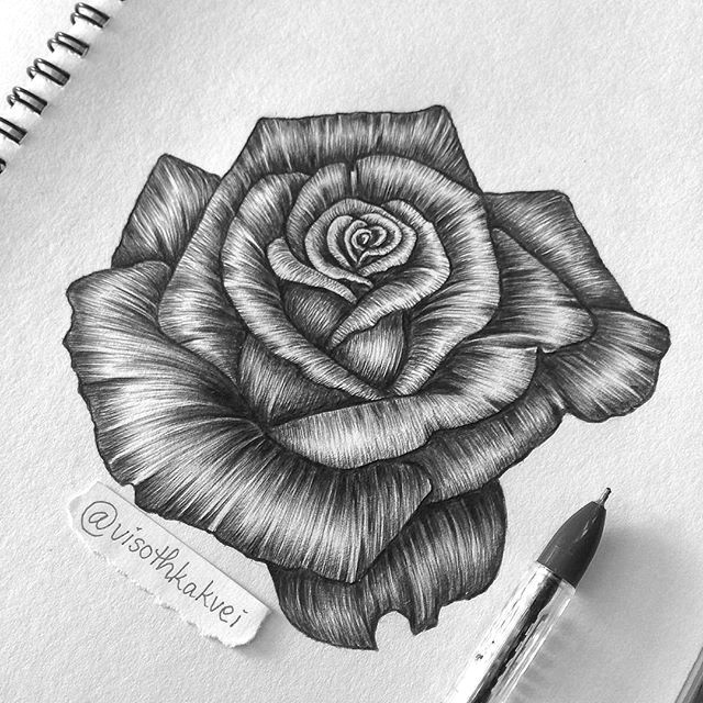 Pen Drawing Of A Rose Tb Ballpoint Pen Art Visothkakvei Zentangle Doodle Et Mandala