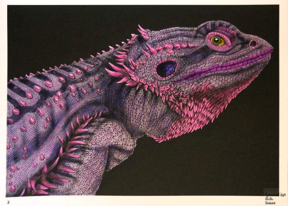 Pencil Drawings Of Bearded Dragons Tim Jeffs Intricate Ink Animals In Details Volume 1 Bearde Tim