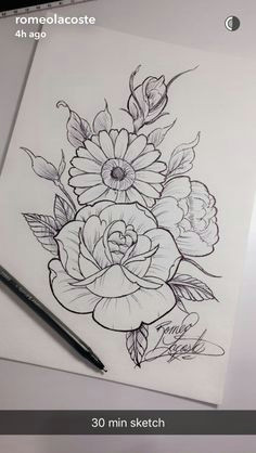 Pencil Drawings Of Flowers 8 1631 Best Colored Pencil Flowers Images In 2019 Paint Crayons