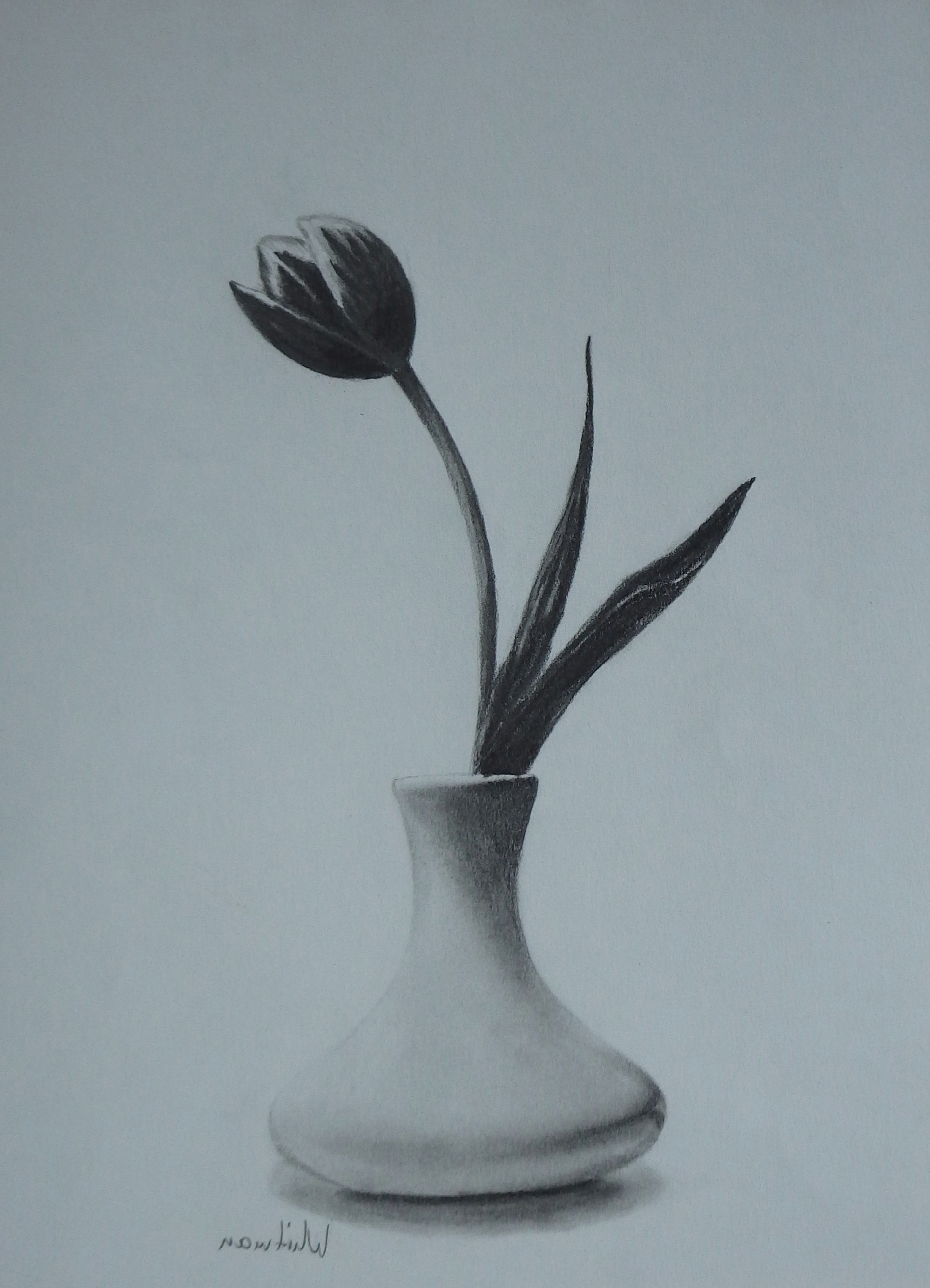 Pencil Drawings Of Flowers In A Vase Pencil Sketches Of Flower Vase Drawn Vase Pencil Sketch 1h Vases