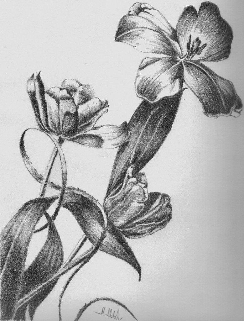 Pencil Drawings Of Flowers In A Vase Pencil Sketches Of Flower Vase Drawn Vase Pencil Sketch 1h Vases