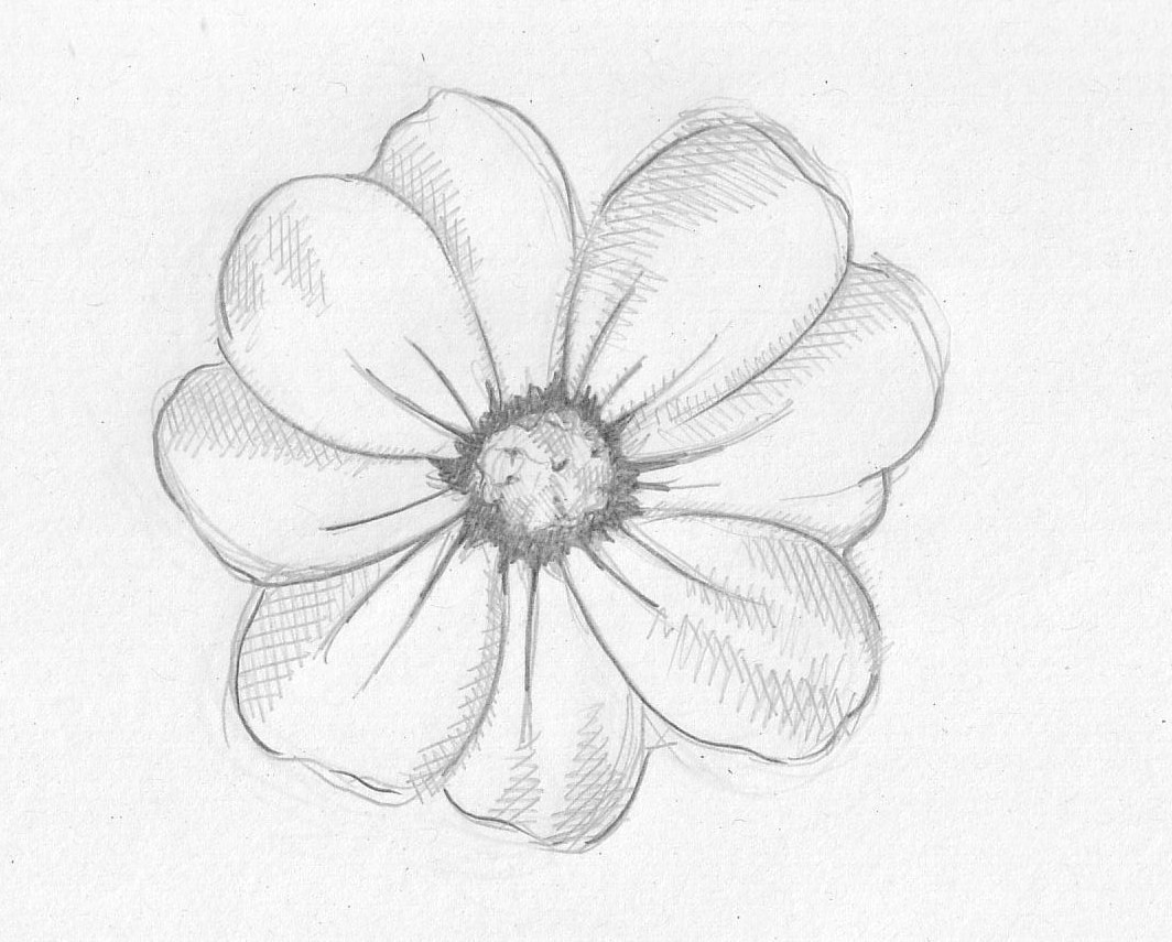 Pencil Drawings Of Roses Step by Step Rose Drawing Pencil at Getdrawings Com Free for Personal Use Rose