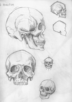 Practice Drawing Skulls 213 Best Skull Sketch Images Skull Skulls Skull Tattoos
