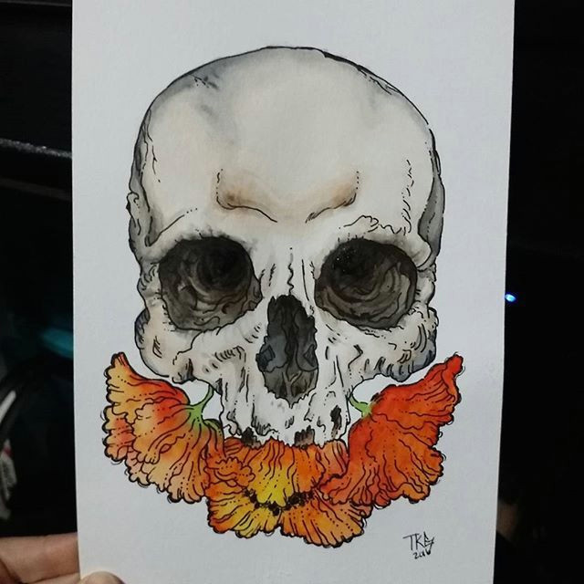 Practice Drawing Skulls Poppy Beard Skull Practicing with More Watercolor Sketch Ink