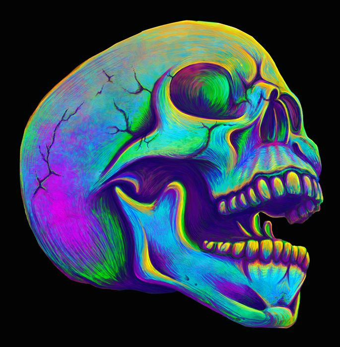 Practice Drawing Skulls Practice Skull by Da Vos On Deviantart Skulls Art Pinterest