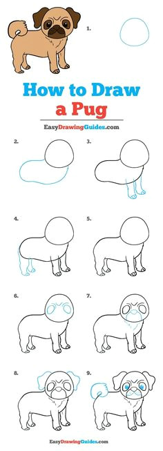 Prairie Dogs Drawing Easy 22 Best Dog Drawing Tutorial Images In 2019 Animal Drawings