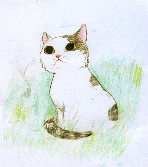 Pretty Drawing Of A Cat Beautiful Drawing Animals Pinterest Expressive Art Beautiful