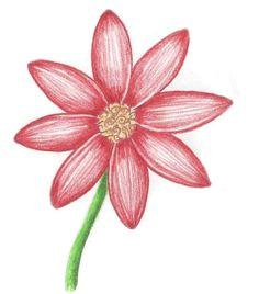 Pretty Drawings Of Flowers Easy 11 Best Hand Draw Flowers Easy On Any Thing Images Simple Flower