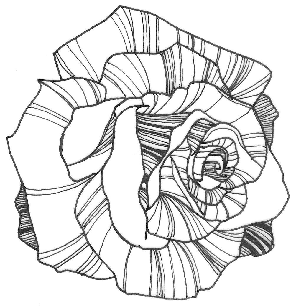 Printable Drawing Of A Rose Nicole Illustration Flower Power Rose Coloring Page Colouring