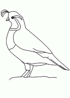 Quail Drawing Easy 19 Best Bobwhite and Quails Sketches Images Quails Quail Tattoo