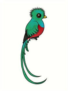 Quetzal Drawing Easy 883 Best El Quetzal Images In 2019 Aztec Aztec Symbols Mayan Symbols